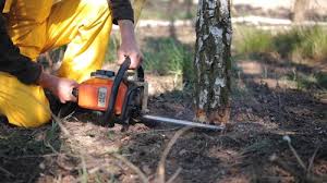 Best Aeration Services  in Spotswood, NJ