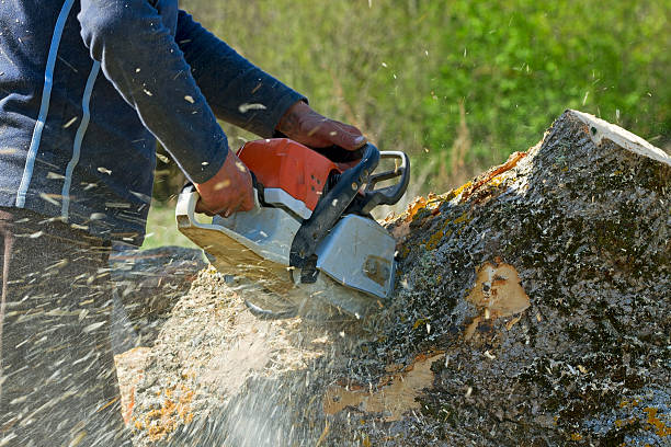Best Mulching Services  in Spotswood, NJ